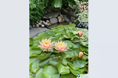 2725 Appian Way, Forks Twp, PA 18040 - Photo 43