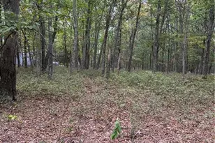 289 Forest Dr, Price Twp, PA 18325 - Photo 5