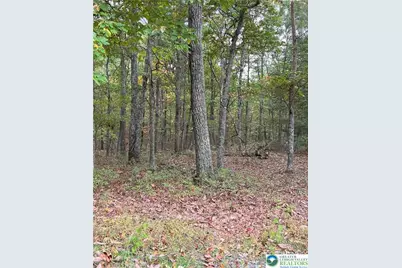 289 Forest Drive, Price Twp, PA 18325 - Photo 3