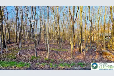 Shawnee Trail & Highpoint Drive, Penn Forrest, PA 18210 - Photo 3