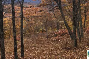 1216 Dorset Dr, Bushkill, PA 18324 - Photo 3