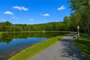 1007 Hampstead Rd, Lehman Twp, PA 18324 - Photo 69