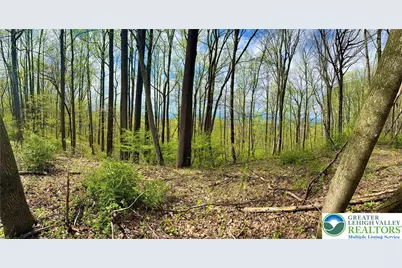 4825 S Mountain Drive, Upper Milford Township, PA 18049 - Photo 3