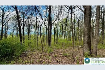 4825 S Mountain Drive, Upper Milford Township, PA 18049 - Photo 5