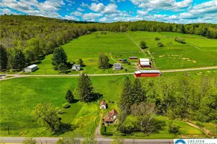 5423 State Route 309, Monroe Twp, PA 18616 - Photo 29
