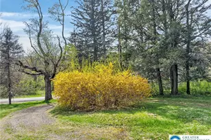 171 Route 191, Cresco, PA 18326 - Photo 29