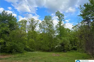 318 Marienstein Rd, Nockamixon Twp, PA 18972 - Photo 53