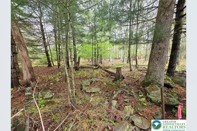475 Craigs Meadow Rd and Spruce Ln, Smithfield Twp, PA 18301 - Photo 7