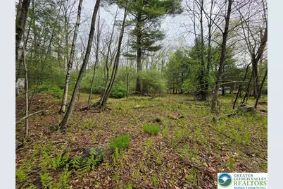 475 Craigs Meadow Rd and Spruce Ln, Smithfield Twp, PA 18301 - Photo 9