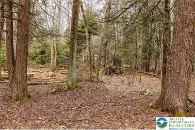 5211 Fir Lane, Coolbaugh Twp, PA 18346 - Photo 29