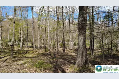 163 Owassa Drive, Tobyhanna Twp, PA 18347 - Photo 11