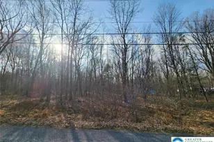 489 Panther Run Rd, Penn Forrest, PA 18229 - Photo 1