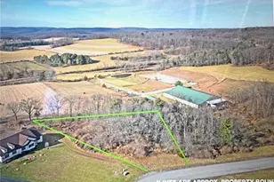 16 Ricks Rd, East Brunswick Twp, PA 17960 - Photo 25