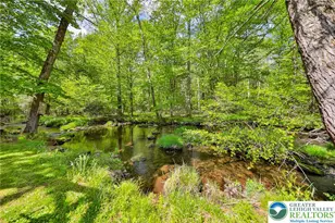 331 Cranberry Creek Rd, Paradise Twp, PA 18326 - Photo 79