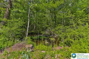 331 Cranberry Creek Rd, Paradise Twp, PA 18326 - Photo 77