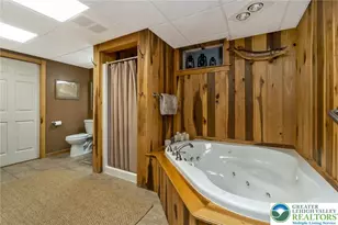 540 Briar Rd, Plainfield Township, PA 18072 - Photo 61