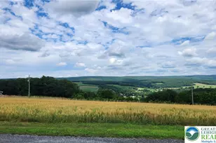 185 Ridge Cup Rd, West Penn Twp, PA 17960 - Photo 5