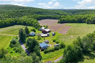62 Stoney Rd, Rush Twp, PA 18252 - Photo 57