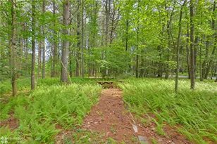 60 Sassafras Rd, East Penn Twp, PA 18235 - Photo 45