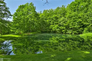 1404 Sugar Hollow Rd, Chestnuthill Twp, PA 18353 - Photo 41