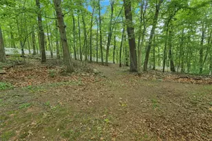 46 Spring Hill Rd, Hereford Twp, PA 18056 - Photo 55