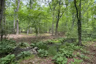 199 Upper Lakeview Dr, East Stroudsburg, PA 18302 - Photo 1