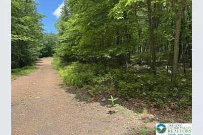 Lot 250-Maple Lane, Jim Thorpe, PA 18229 - Photo 3