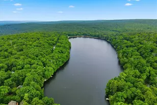 180 E Shore Dr, Dingmans Ferry, PA 18328 - Photo 23