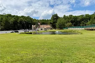 1119 Mink Ct, Bushkill, PA 18324 - Photo 27