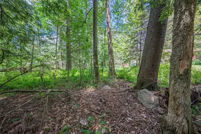 5226 Beechwood Road, Tobyhanna Twp, PA 18610 - Photo 59