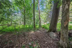 5226 Beechwood Rd, Tobyhanna Twp, PA 18610 - Photo 59