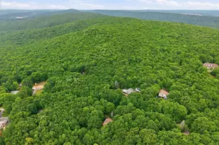 520 Highland Hill Rd, Jim Thorpe, PA 18235 - Photo 73