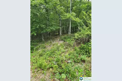Seneca Road, Middle Smithfield, PA 18301 - Photo 7