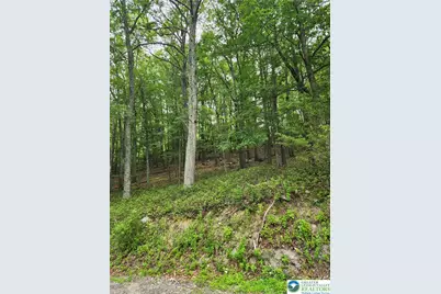 Seneca Road, Middle Smithfield, PA 18301 - Photo 3