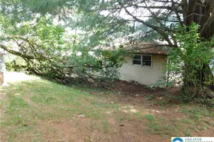 57 W Garibaldi, Nesquehoning, PA 18240 - Photo 41