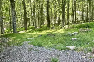 135 Oswayo Dr, Coolbaugh Twp, PA 18347 - Photo 7