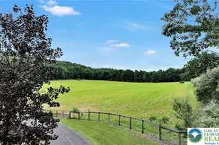 376 H.T.Y. Rd, Polk Twp, PA 18058 - Photo 9