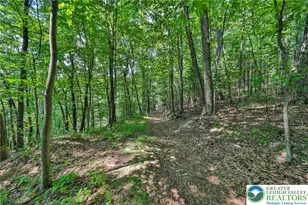 169 Dogwood Ln, Ross Twp, PA 18353 - Photo 45