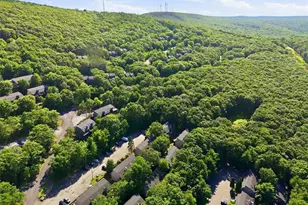 126 Cross Country Ln, Jackson Twp, PA 18372 - Photo 45