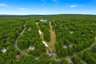 1007 Hampstead Rd, Lehman Twp, PA 18324 - Photo 49