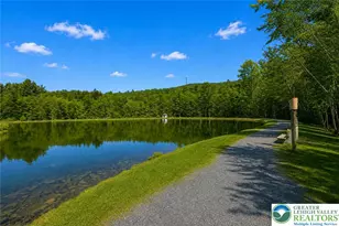 1007 Hampstead Rd, Lehman Twp, PA 18324 - Photo 71