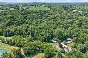 261 Schipps Ln, Upper Mt Bethel Twp, PA 18343 - Photo 29