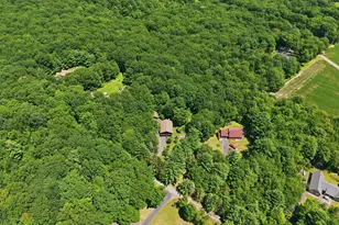 168 Bernies Dr, Eldred Twp, PA 18058 - Photo 61