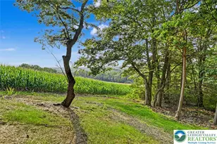 70 Black Bear Cir, Towamensing Twp, PA 18058 - Photo 45