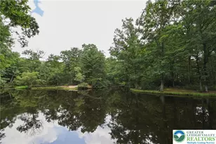 3 Deer Trail Ln, Rush Twp, PA 18240 - Photo 39