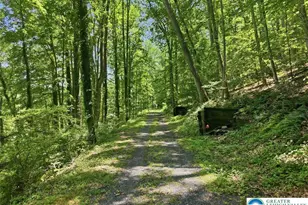 3612 River Rd, Upper Mt Bethel Twp, PA 18343 - Photo 37