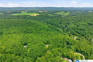 158 Pioneer Rd, Polk Twp, PA 18058 - Photo 47