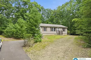 158 Pioneer Rd, Polk Twp, PA 18058 - Photo 5