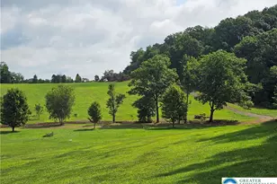 46 Mill Dr, West Penn Twp, PA 18252 - Photo 61