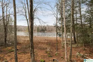 107 Northgate Rd, Lake, PA 18436 - Photo 27
